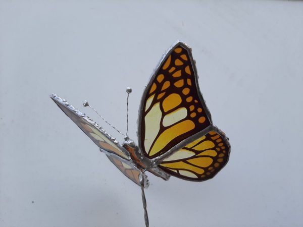 Mariposa Monarca 3D