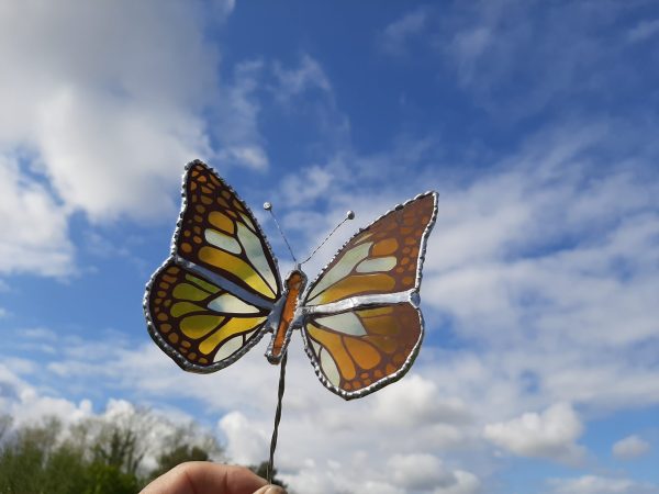 Mariposa Monarca 3D
