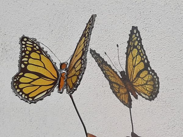 Mariposa Monarca 3D