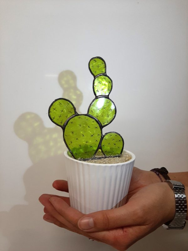 Cactus 2D