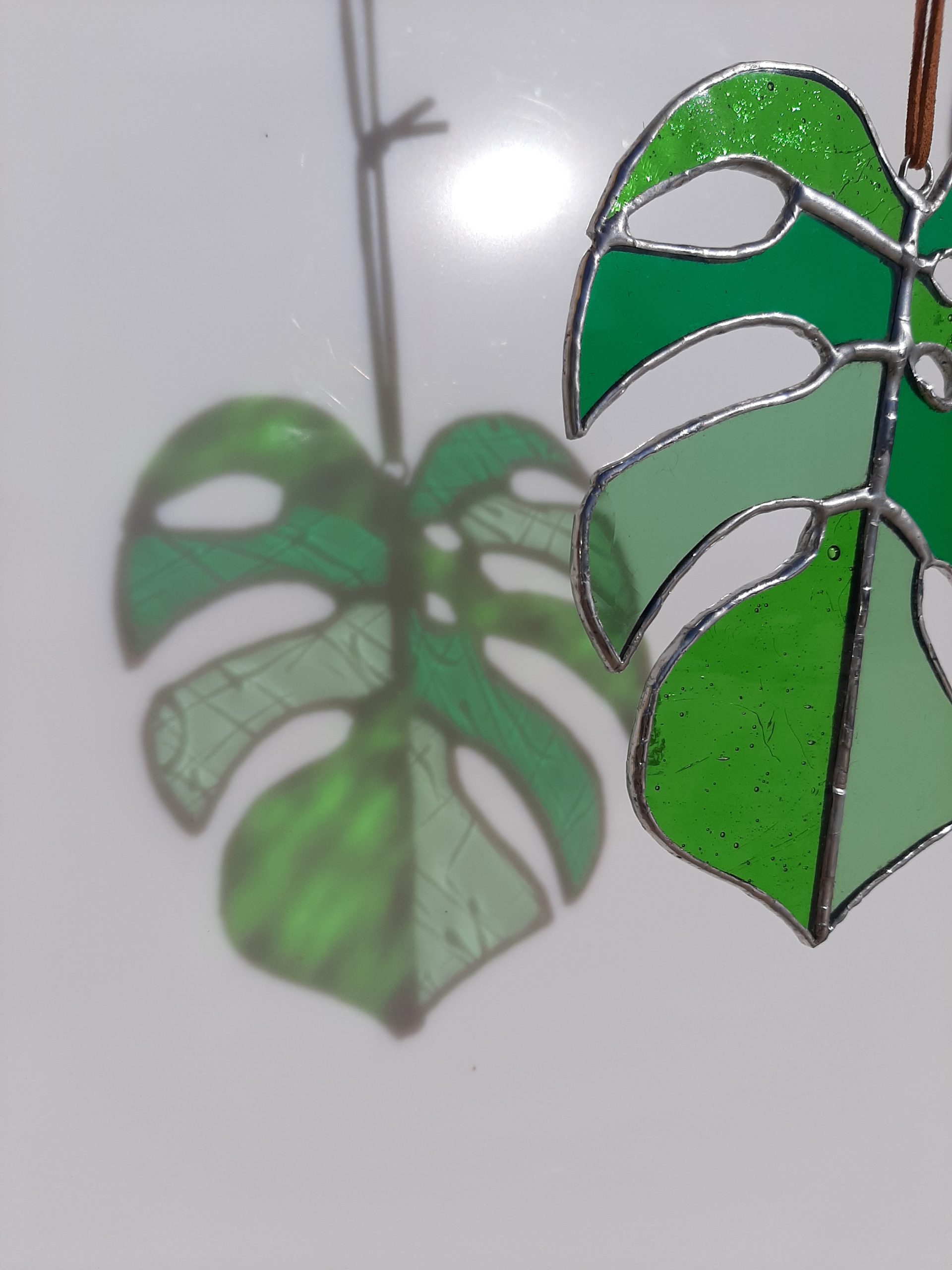 Hoja monstera 2 - Anacos de cores Hoja monstera