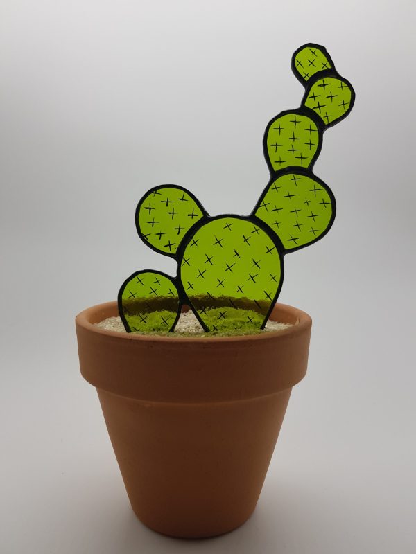 Cactus 2D