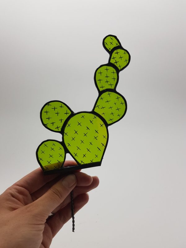 Cactus 2D