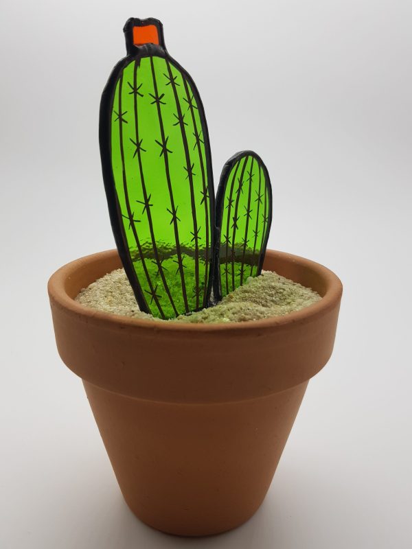 Cactus 2D
