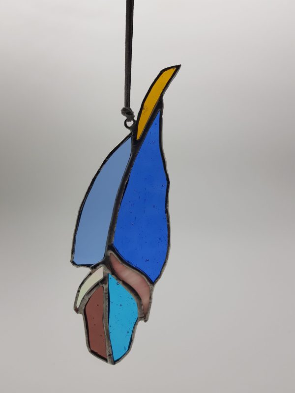 Pluma de colores